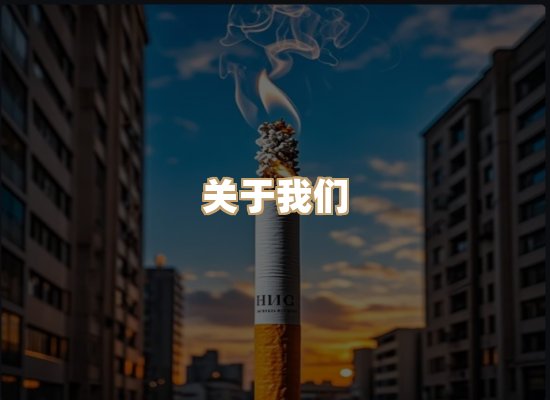 关于御龙烟网